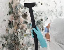  , USA Mold Remediation Pros